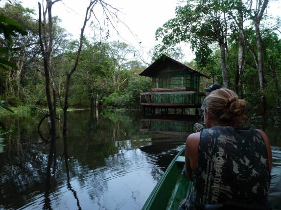 Visitando a Casa da Floresta, na Reserva de Mamirauá, perto de Tefé, no Amazonas